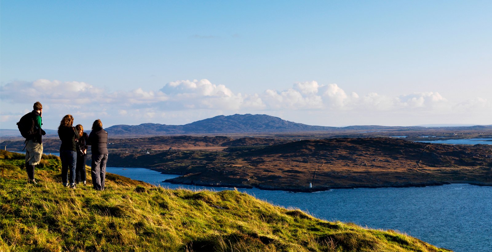 inishfree music tours